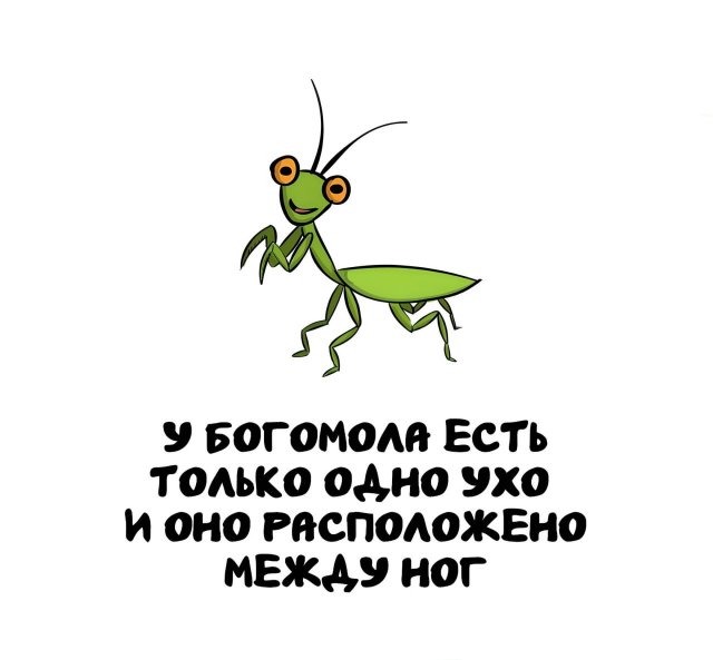 Интересные факты на все случаи жизни