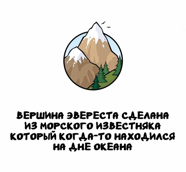 Интересные факты на все случаи жизни