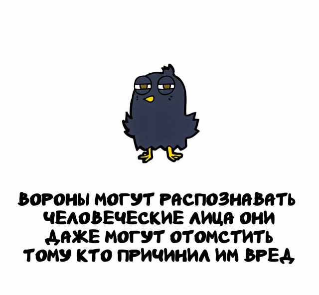 Интересные факты на все случаи жизни