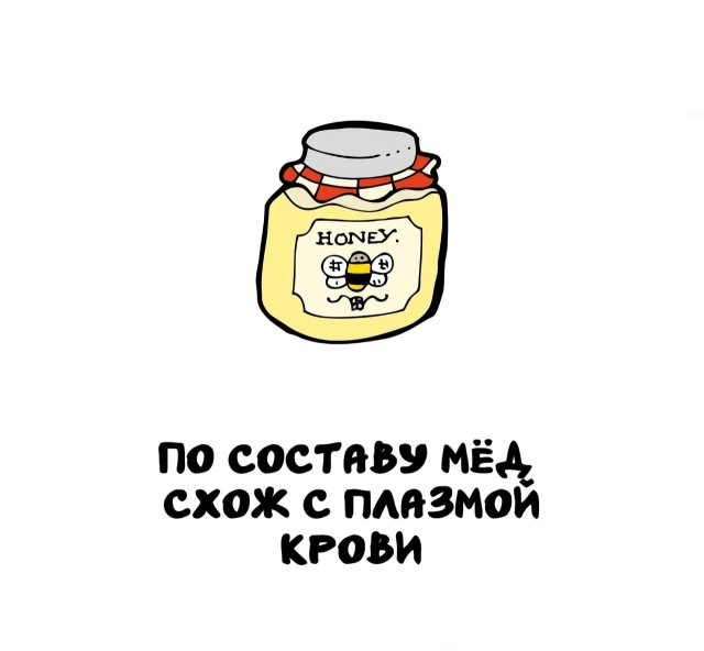 Интересные факты на все случаи жизни