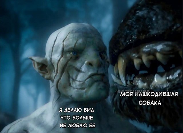 Лучшие шутки и мемы из Сети - 03.06.2025