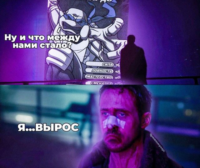 Лучшие шутки и мемы из Сети - 03.06.2025