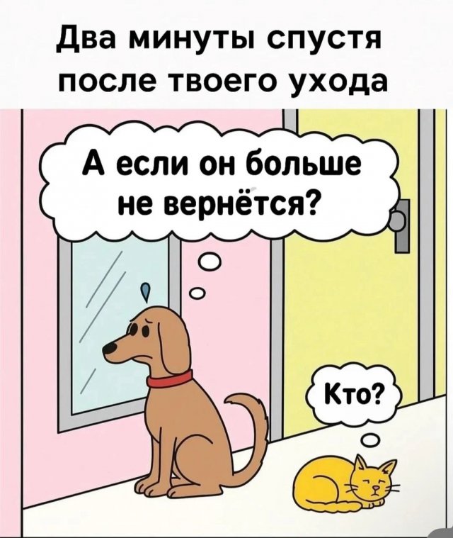 Смешные мемы - 04.06.2025