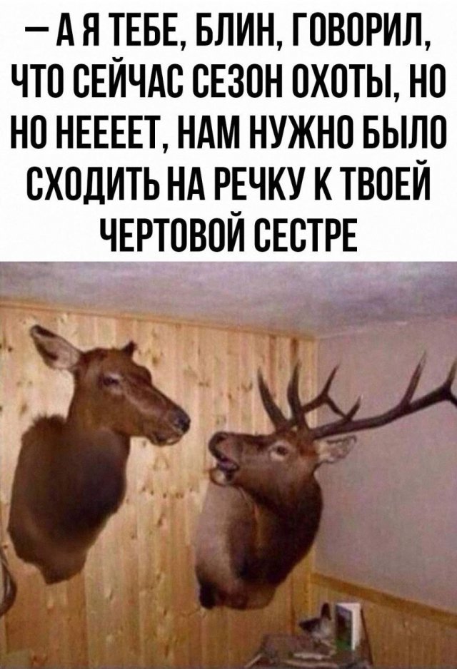 Лучшие шутки и мемы из Сети - 04.06.2025