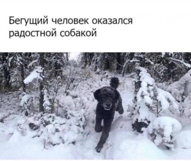 Лучшие шутки и мемы из Сети - 04.06.2025