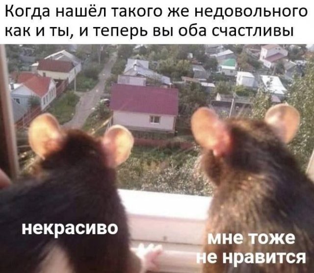 Лучшие шутки и мемы из Сети - 04.06.2025