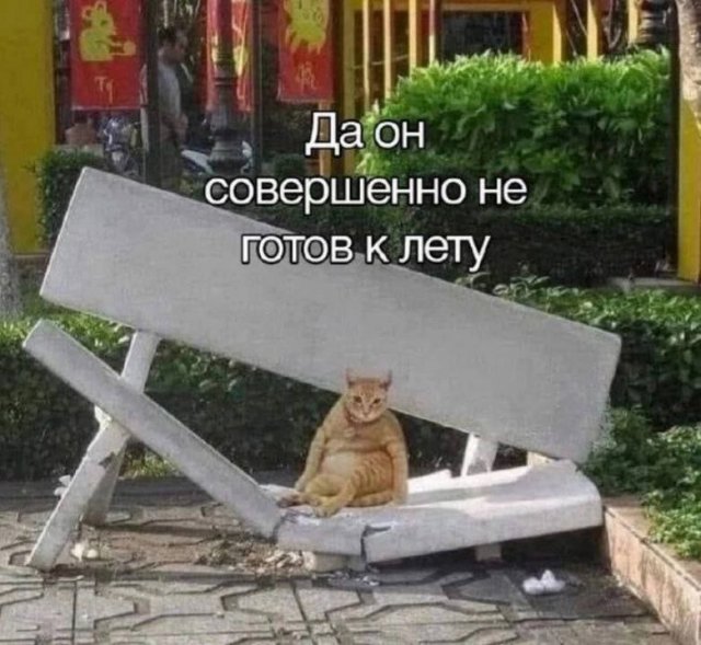 Лучшие шутки и мемы из Сети - 04.06.2025