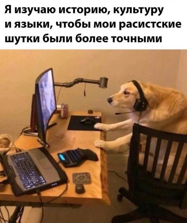 Лучшие шутки и мемы из Сети - 04.06.2025