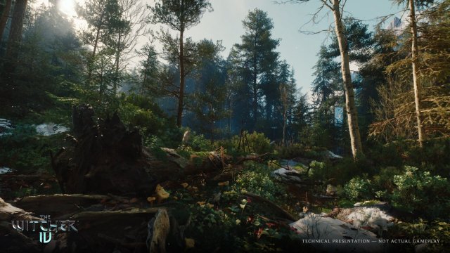 Вышел новый трейлер четвёртой части «Ведьмака» Вышел новый трейлер четвёртой части «Ведьмака»
