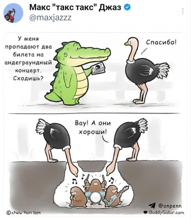 Подборка забавных твитов обо всем