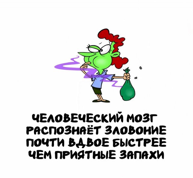 Интересные факты на все случаи жизни