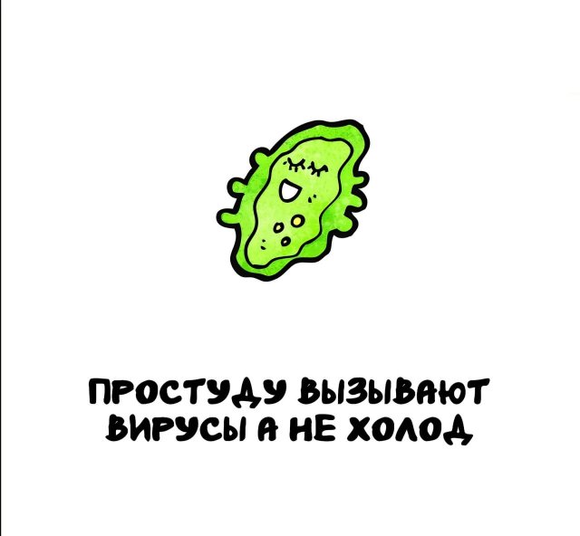 Интересные факты на все случаи жизни