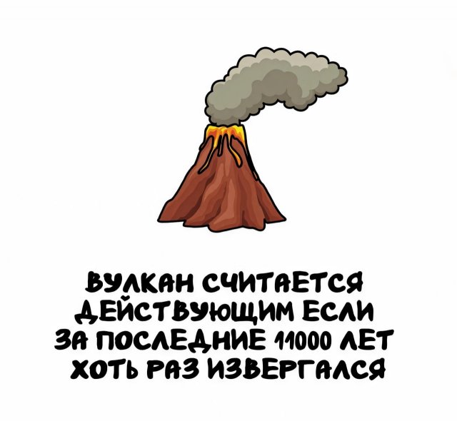 Интересные факты на все случаи жизни