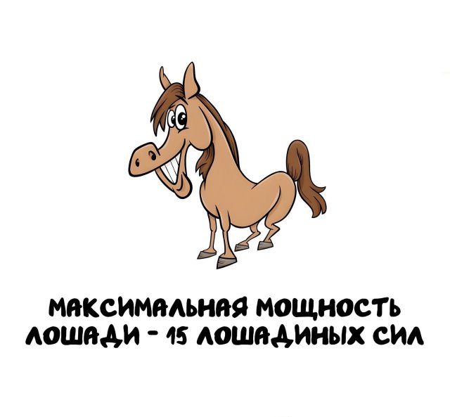 Интересные факты на все случаи жизни