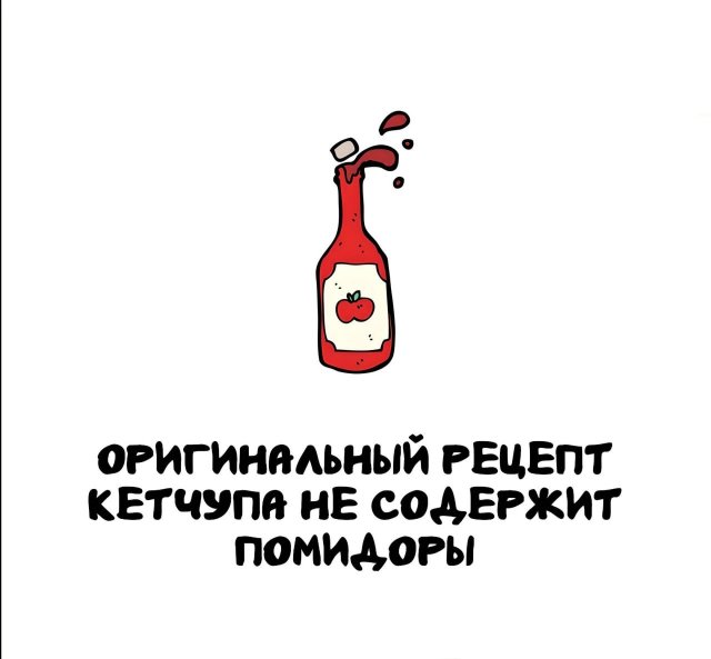 Интересные факты на все случаи жизни