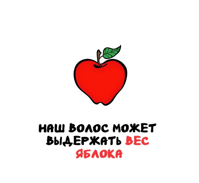 Интересные факты на все случаи жизни