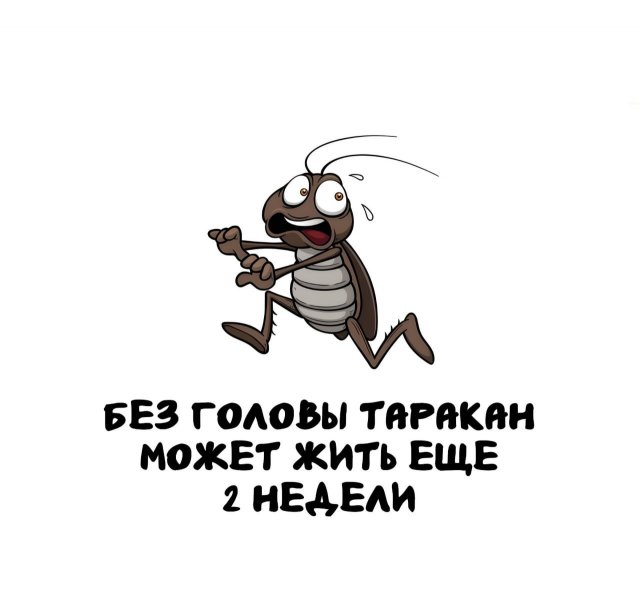 Интересные факты на все случаи жизни