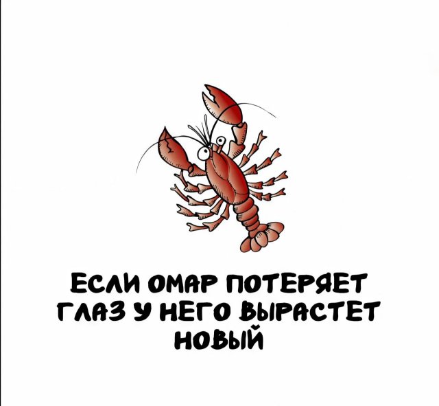Интересные факты на все случаи жизни