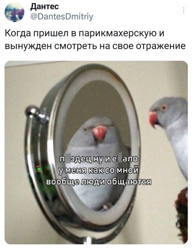 Подборка забавных твитов обо всем