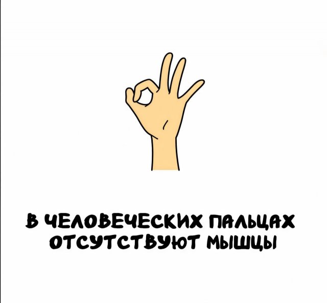 Интересные факты на все случаи жизни