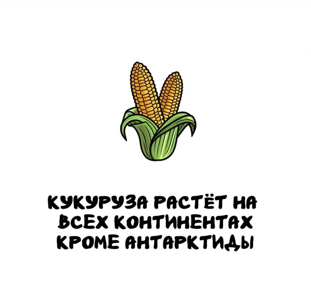 Интересные факты на все случаи жизни