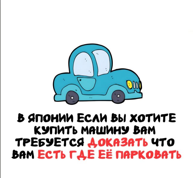 Интересные факты на все случаи жизни