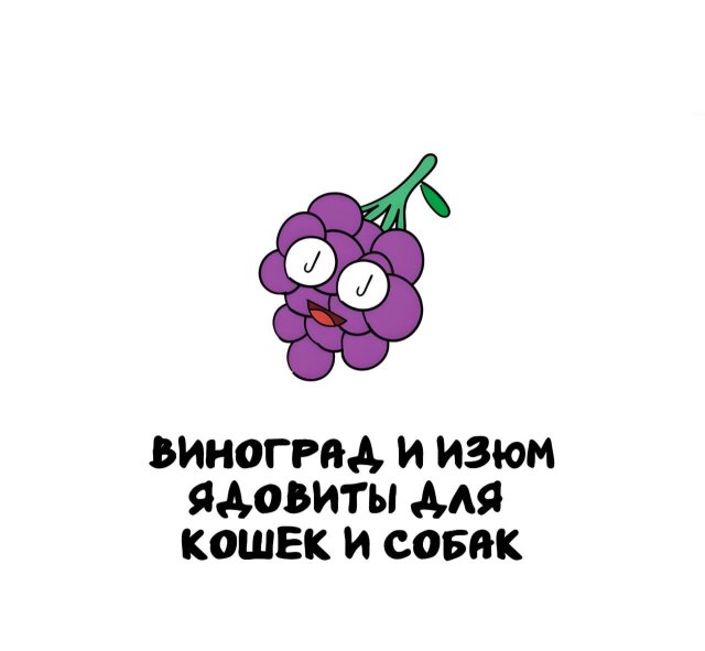 Интересные факты на все случаи жизни Интересные факты на все случаи жизни