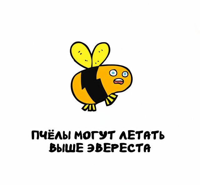 Интересные факты на все случаи жизни