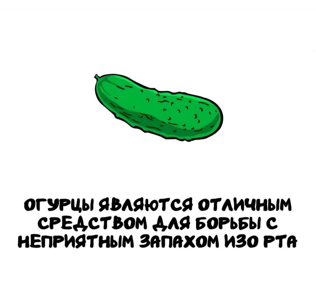 Интересные факты на все случаи жизни