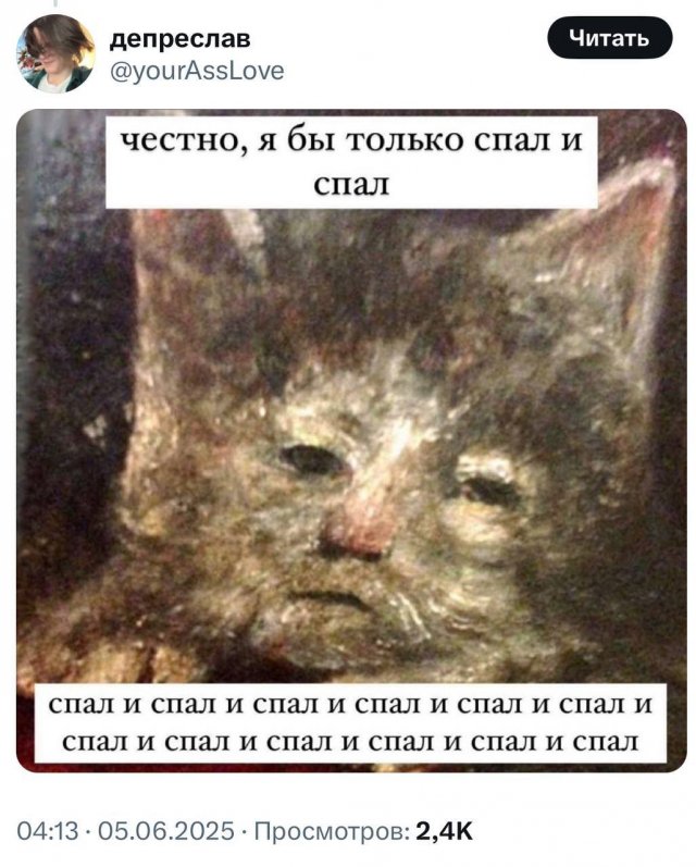 Любимые мемы с котами - кладезь грустных цитат