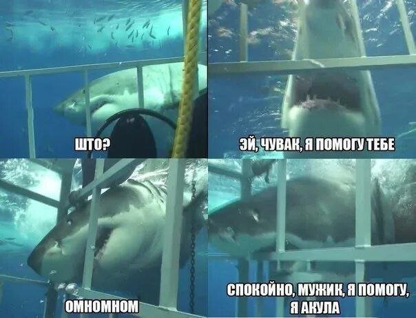 Лучшие шутки и мемы из Сети - 05.06.2025