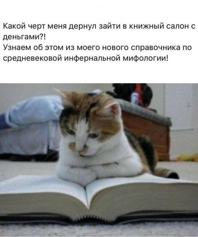 Лучшие шутки и мемы из Сети - 05.06.2025