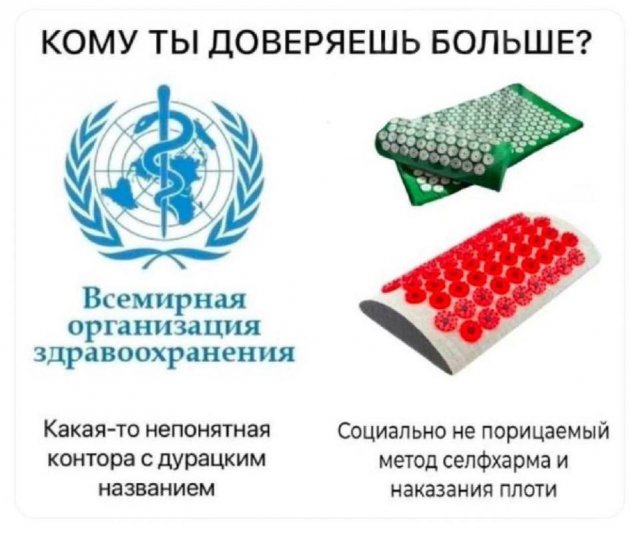 Лучшие шутки и мемы из Сети - 05.06.2025