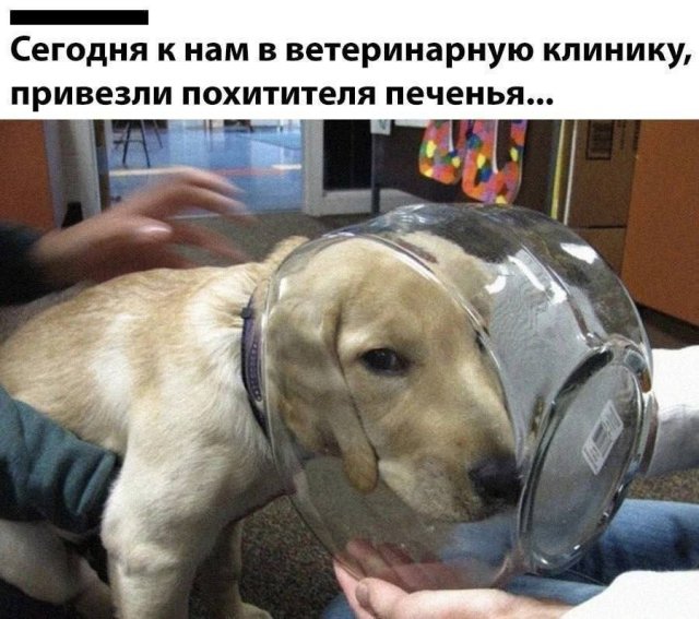Лучшие шутки и мемы из Сети - 05.06.2025
