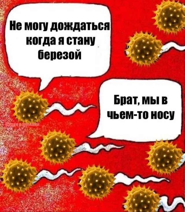 Лучшие шутки и мемы из Сети - 05.06.2025