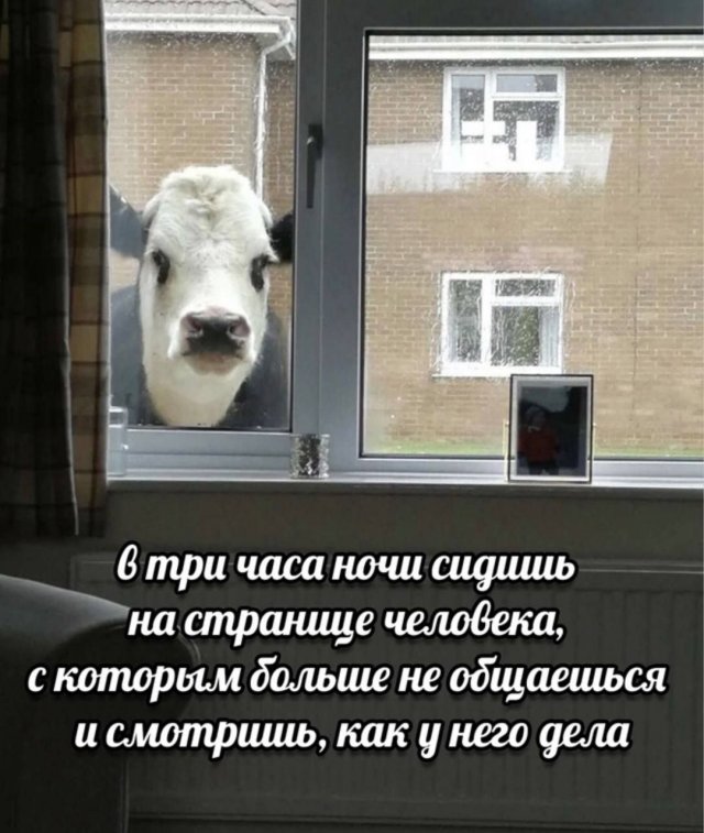 Смешные мемы - 06.06.2025
