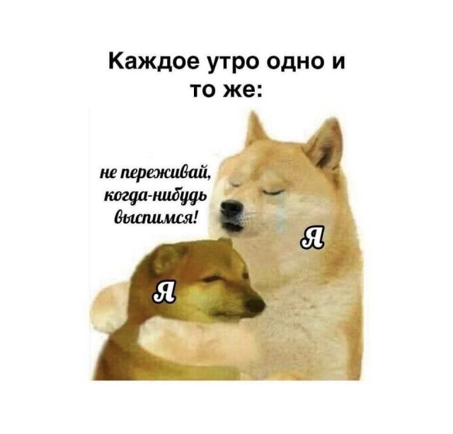 Смешные мемы - 06.06.2025