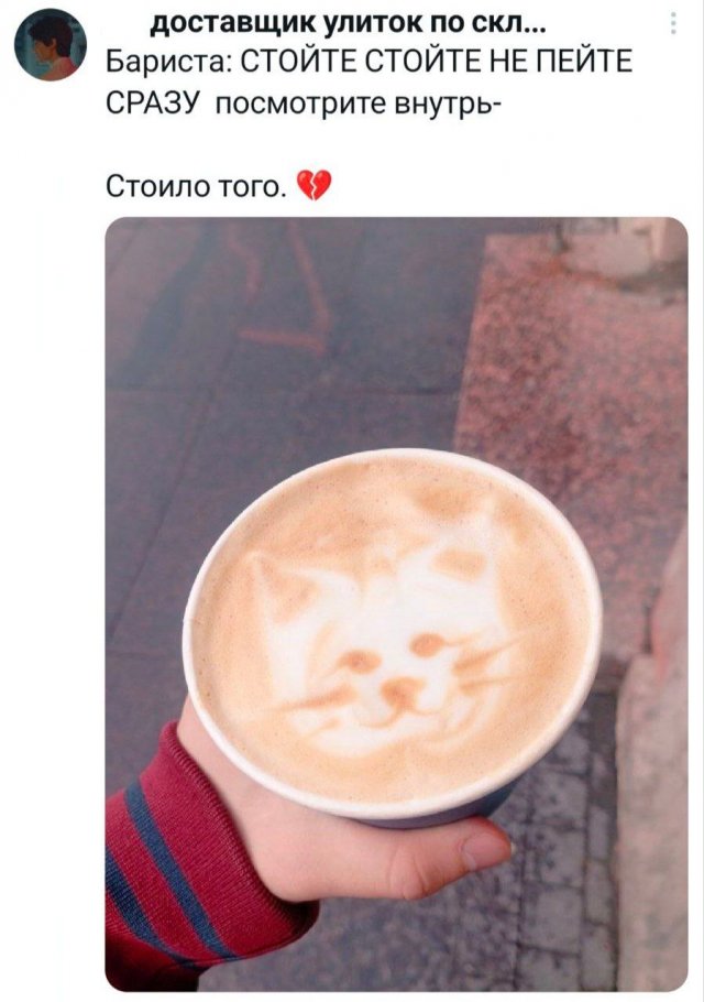 Подборка забавных твитов обо всем