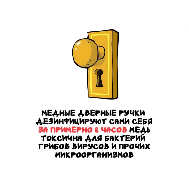 Интересные факты на все случаи жизни