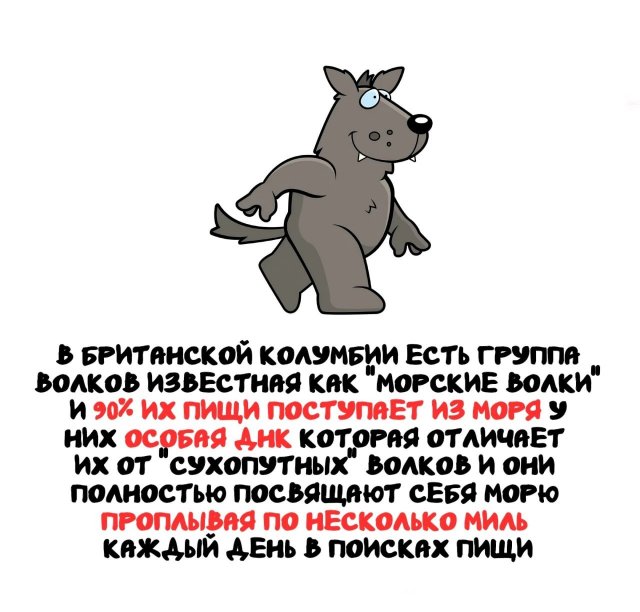 Интересные факты на все случаи жизни