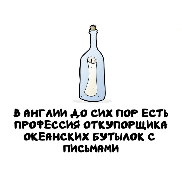 Интересные факты на все случаи жизни