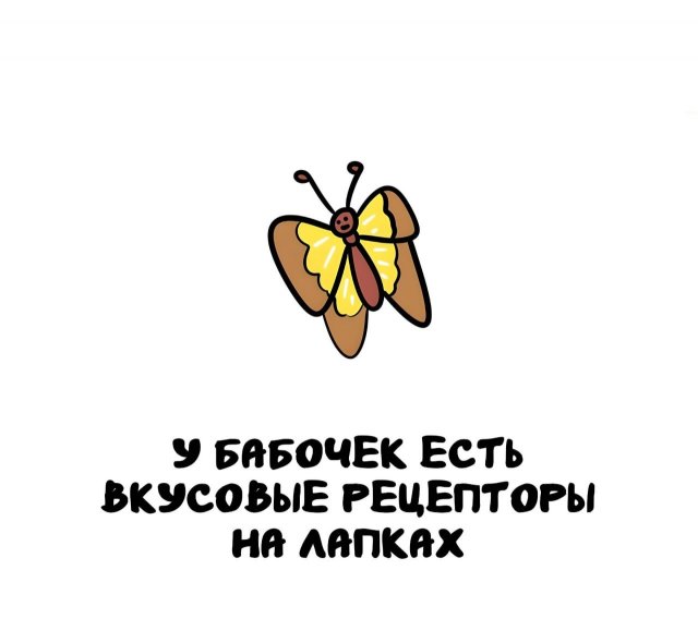 Интересные факты на все случаи жизни