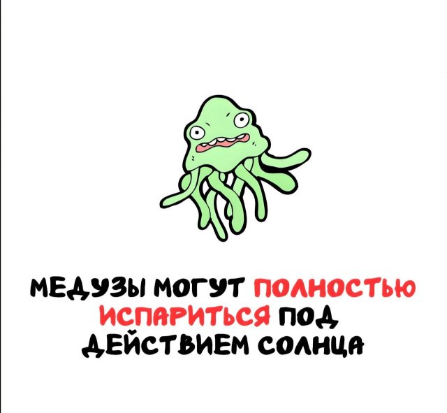 Интересные факты на все случаи жизни
