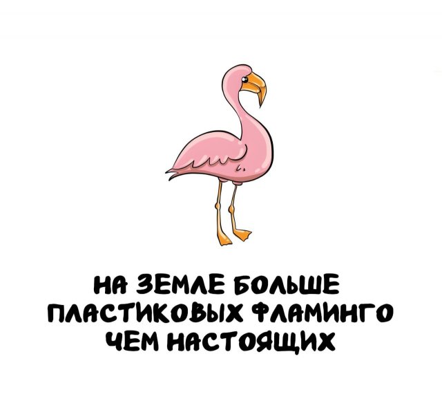 Интересные факты на все случаи жизни