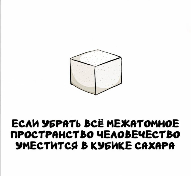 Интересные факты на все случаи жизни