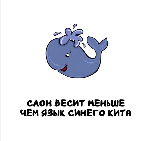 Интересные факты на все случаи жизни