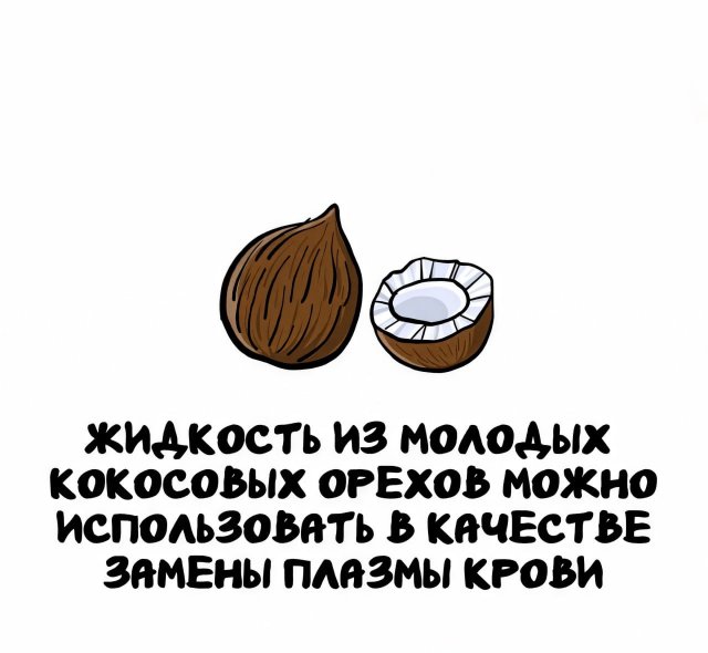 Интересные факты на все случаи жизни