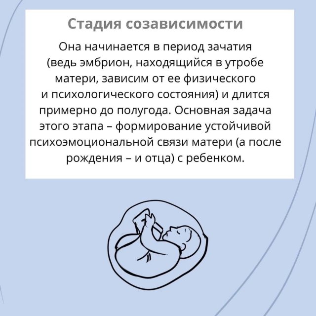 4 психофизиологические стадии развития человека