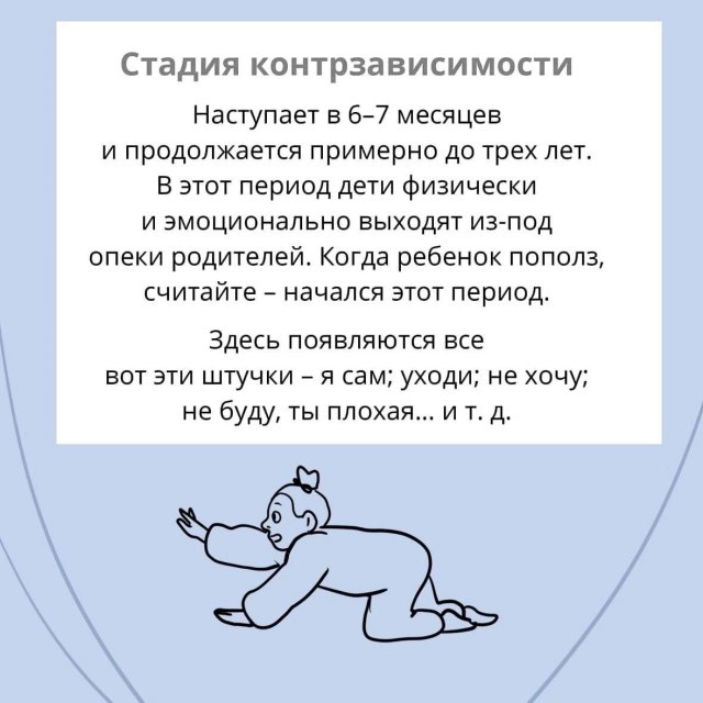 4 психофизиологические стадии развития человека