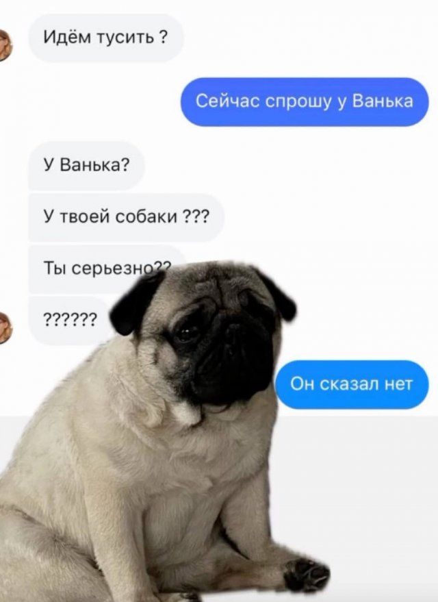 Смешные мемы - 10.06.2025